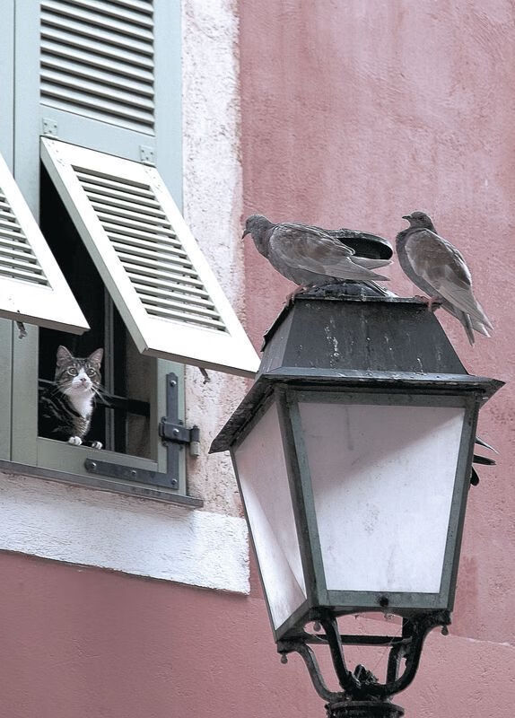 未来之星：这几位新秀有望成为下一代巨星，未来之星2021