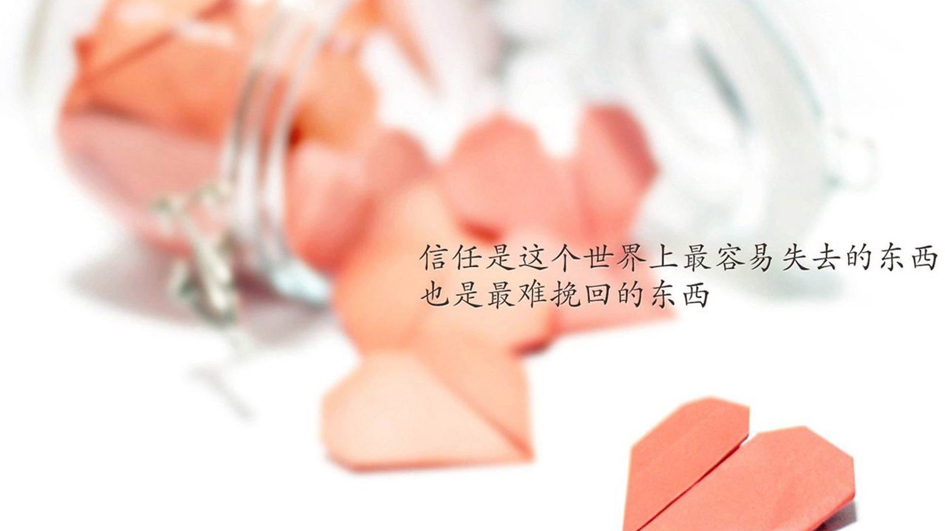 im体育app官网-未来之星：青少年台球锦标赛热烈进行，全国青少年台球比赛