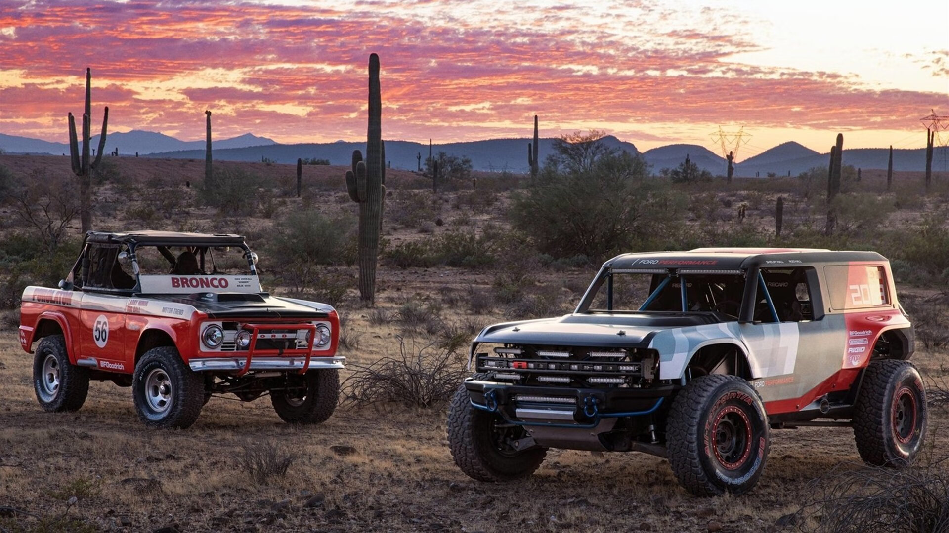 线上线下一体化打造全场景体育体验,推动全民健身热情,线上线下一体化宣传语