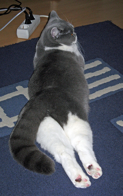 im体育网页版-线上线下电竞活动联动，丰富玩家参与形式，线上电竞平台合法吗