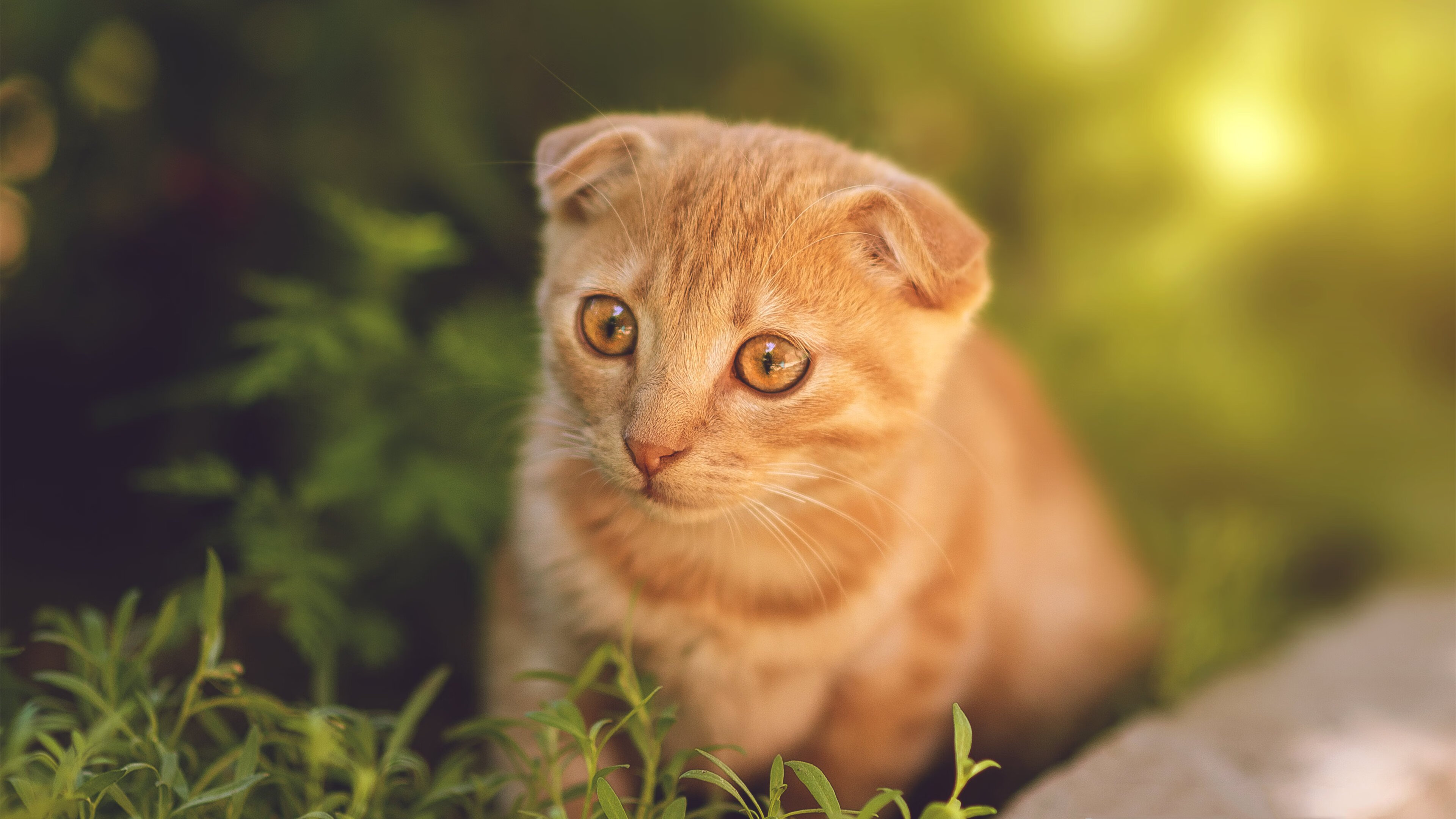 im体育网页版-行业“裁判+教练”双向培训制度全面推行，管理体系逐步完善，双向培训班是什么意思