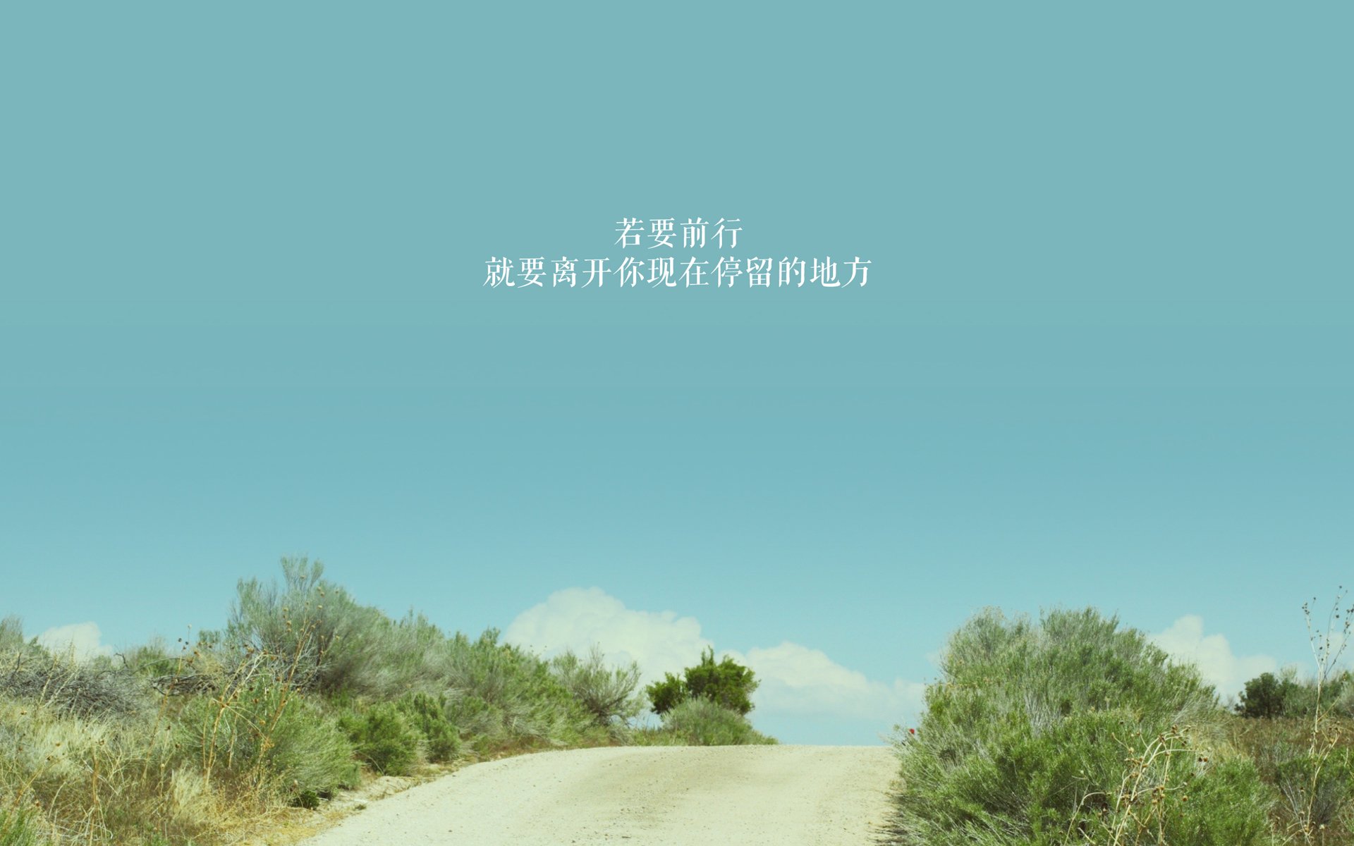 足球的演变史：从泥地到现代化球场，足球演变图