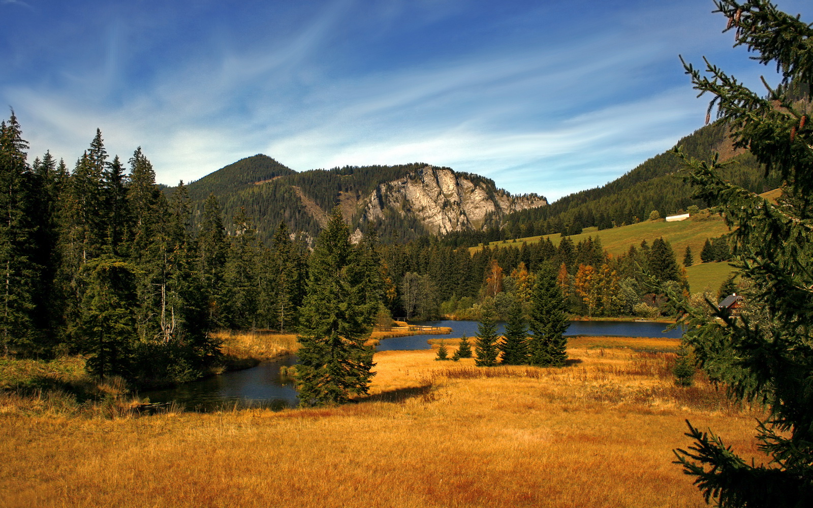 im电竞官网登录-女足世界杯公益项目启动，女足世界杯2023 主办国