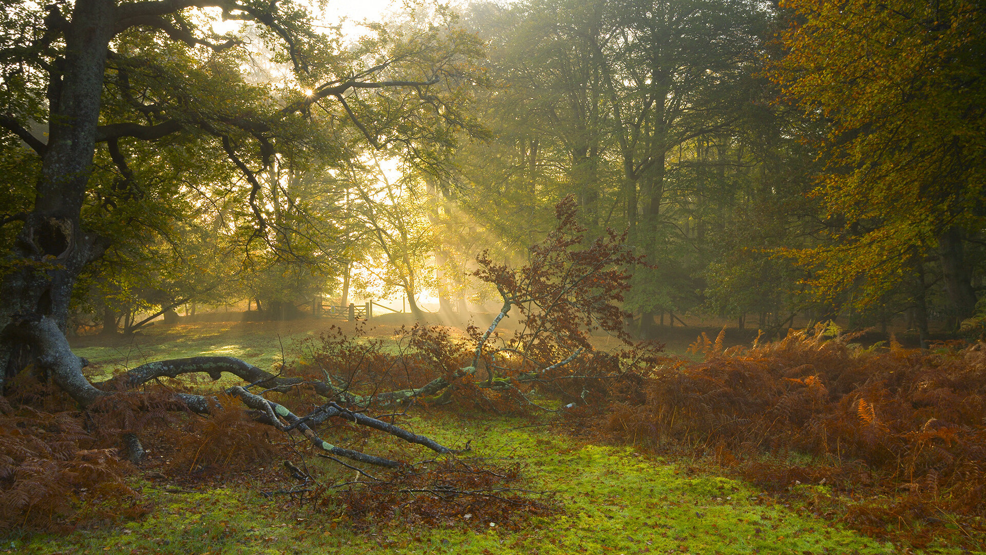 快船击败雷霆,常规赛巅峰对决中乔治连续抢断建功,快船乔治打什么位置