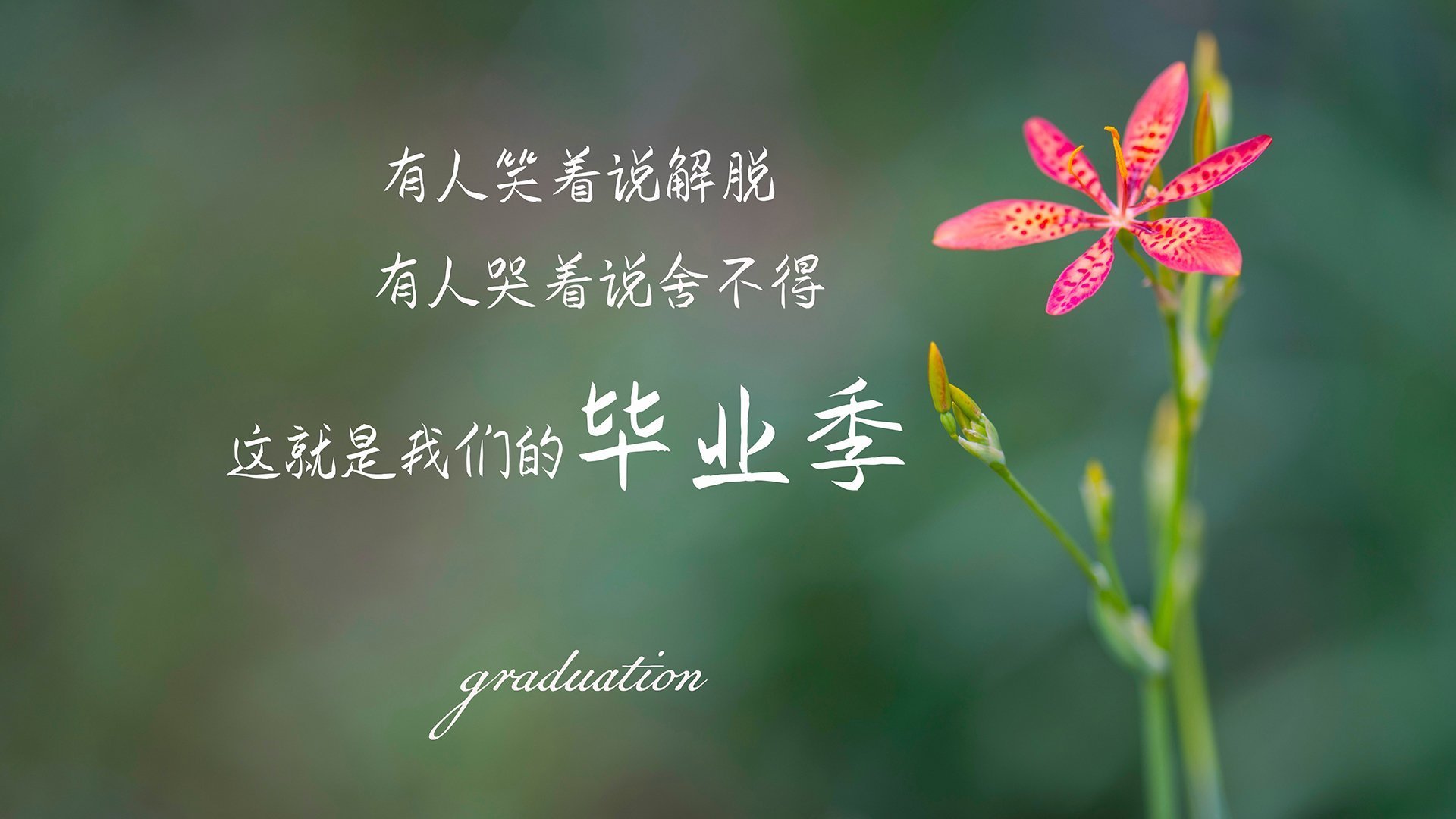 im体育网站-激情四射！球场上的对决激发团队合作精神，球赛激烈