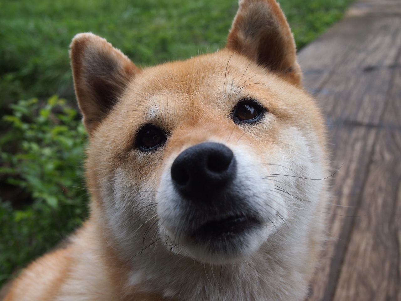 中国男篮遭遇连败 球迷呼吁改变战术体系,中国男篮遗憾