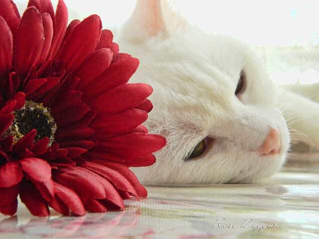 中超联赛中国青年队迎战 球员状态起伏明显,中国足球青年超级联赛