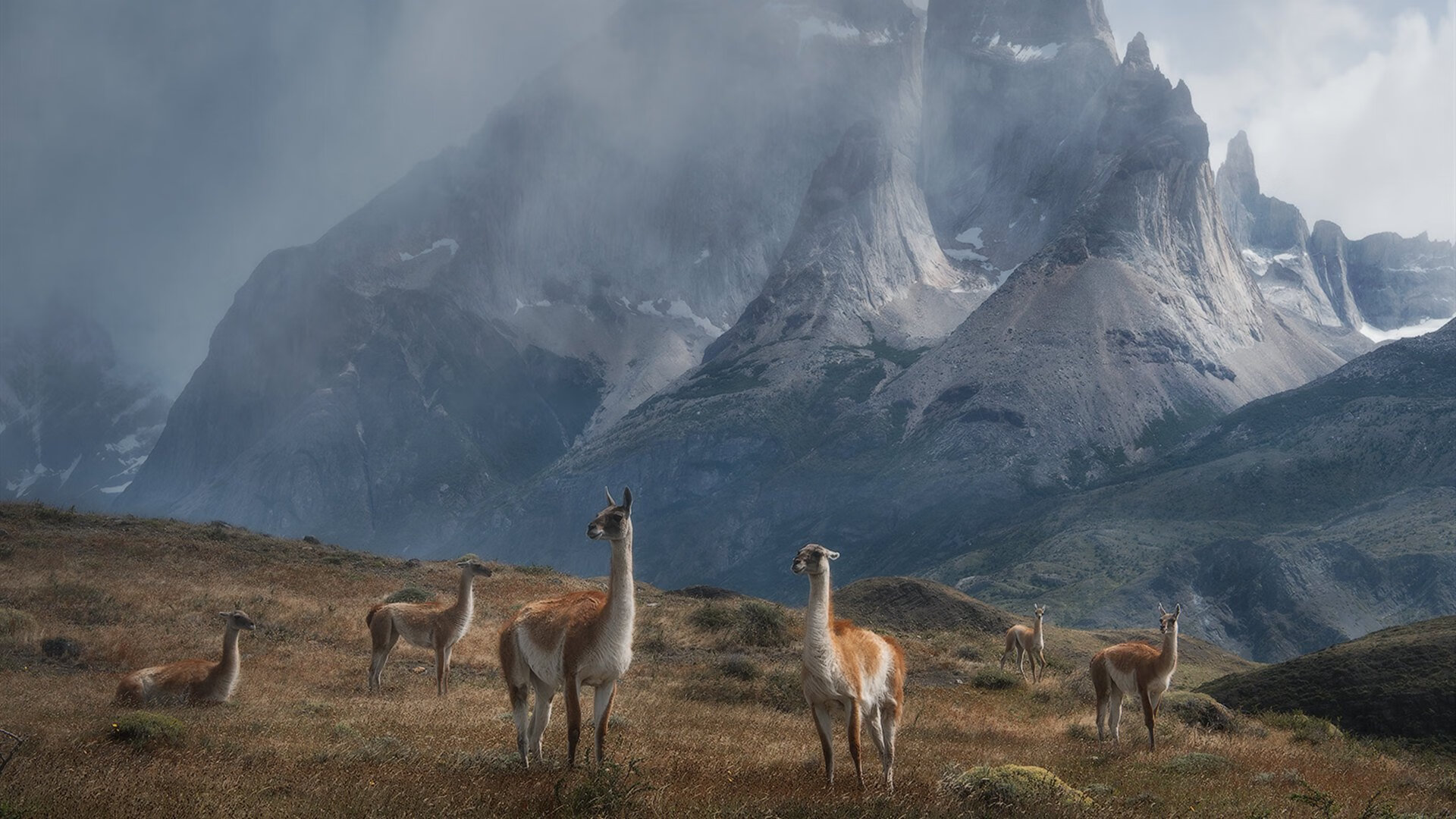 加拿大队在国际乒联混合团体世界杯中的团队精神与个人技术,2021加拿大乒乓球国家队