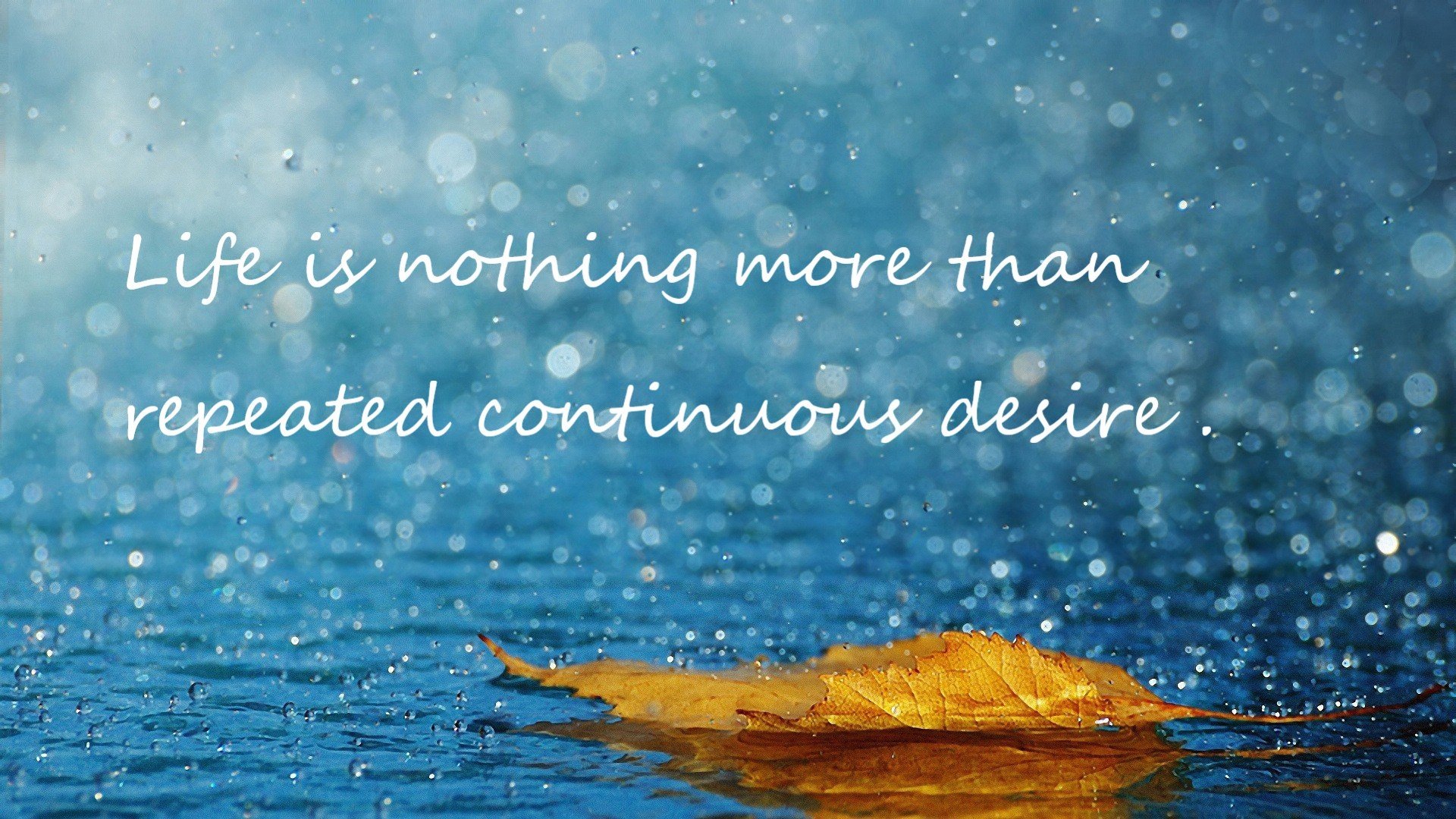 刘翔退役后首次公开亮相,刘翔退役后首次公开亮相是哪一年