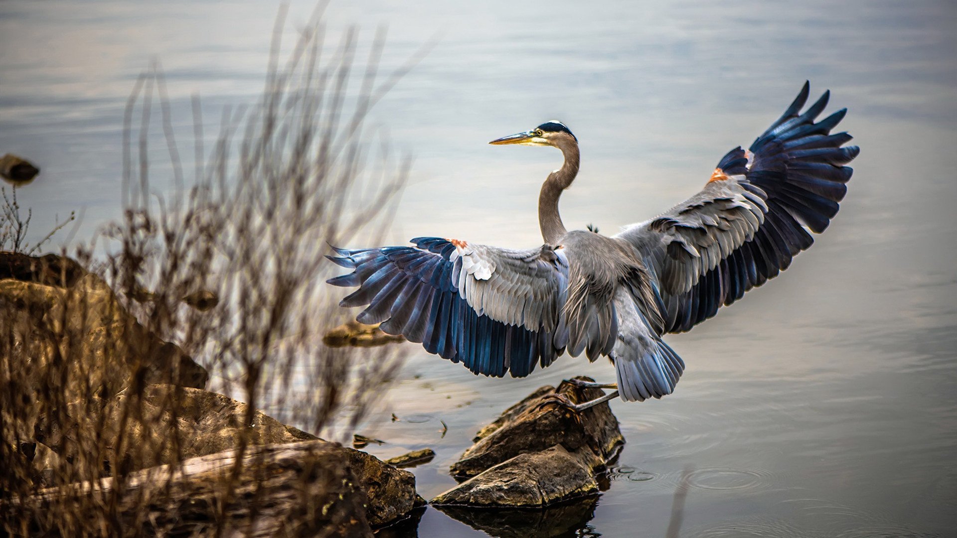 未来足球场馆实现全数字化智慧管理,提升运营效率,足球场馆的产业链分析