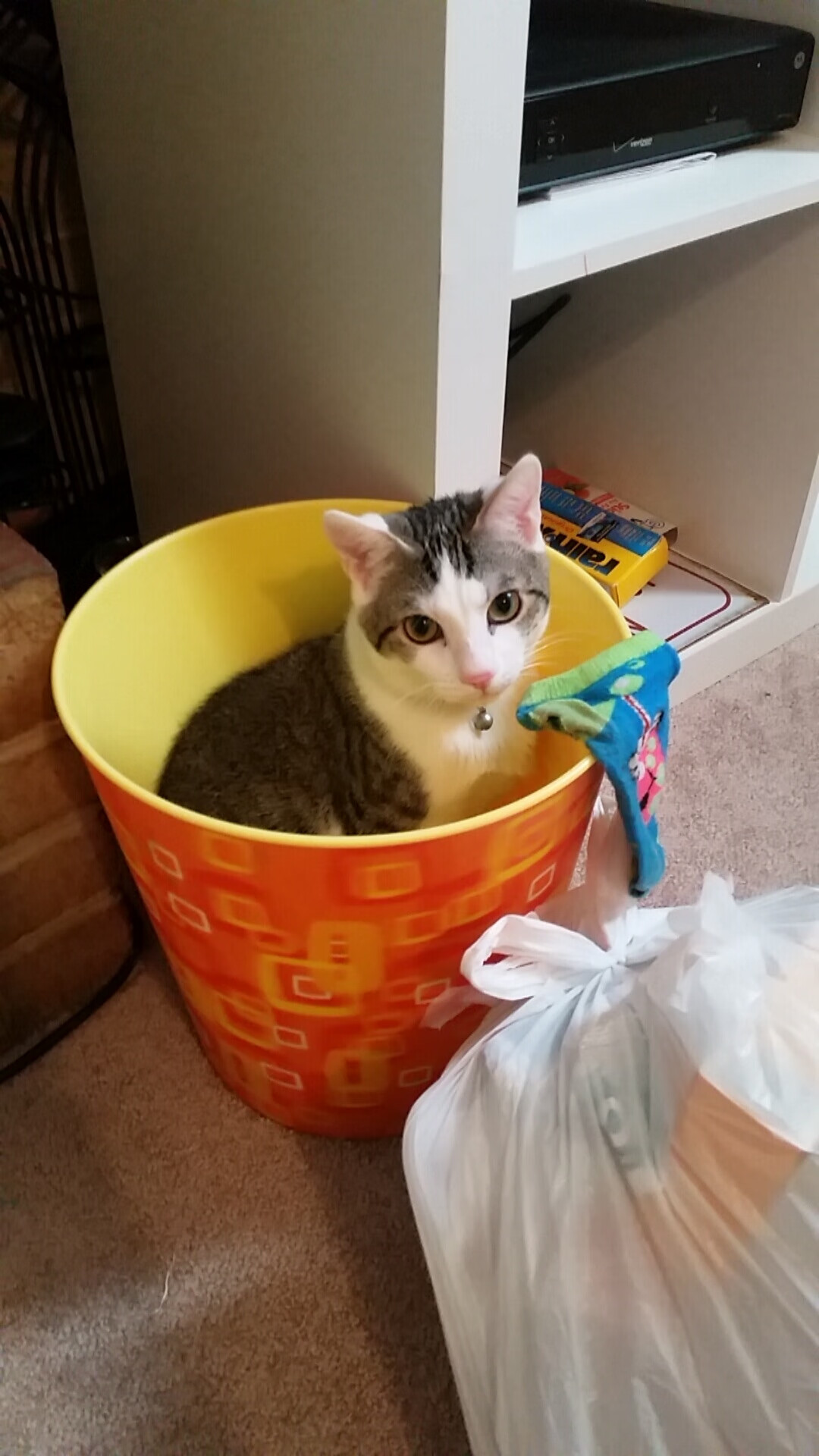 步行者继续培养新秀未来可期,步行者未来选秀权