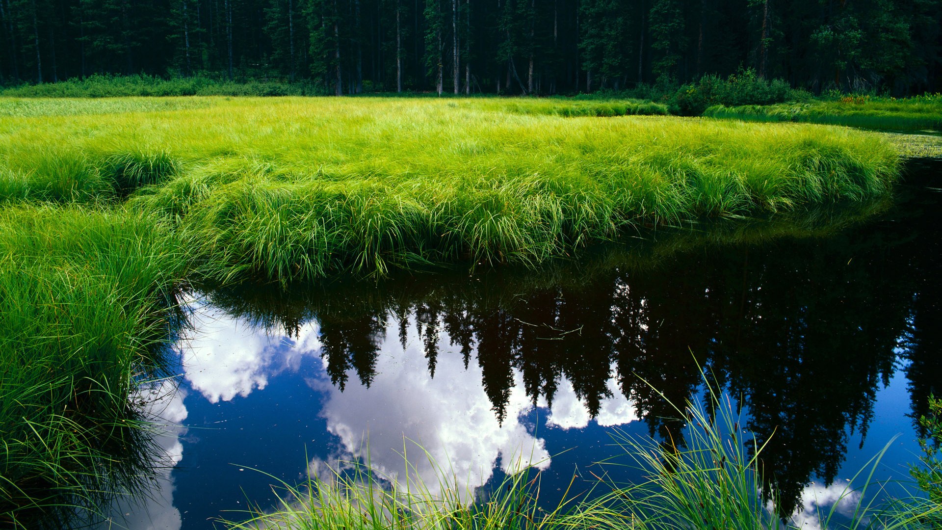 im体育网站-水球攻防转换瑞士行云流水，水球战术